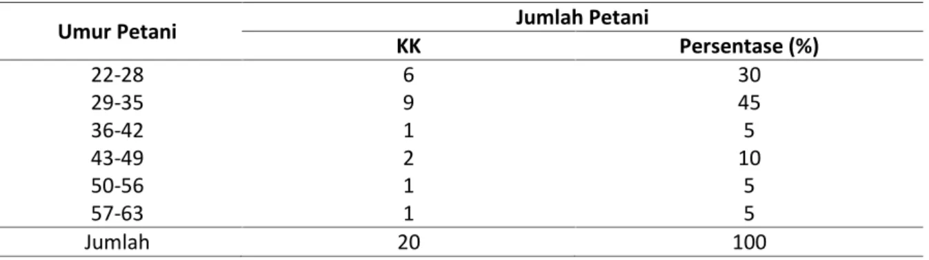 Tabel  1.  Distribusi  Responden  Berdasarkan  Kelompok  Umur  di  Desa  Lingga  Kuamag  dan  Lubuk Kecamatan Pelepat Ilir Kabupaten Bungo Tahun 2014
