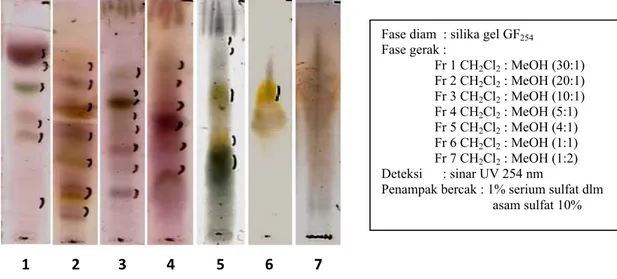 Gambar 2. Kromatografi KLT fraksi 1 s.d 7 ekstrak etanol dari  daun sirih yang tidak  diiradiasi