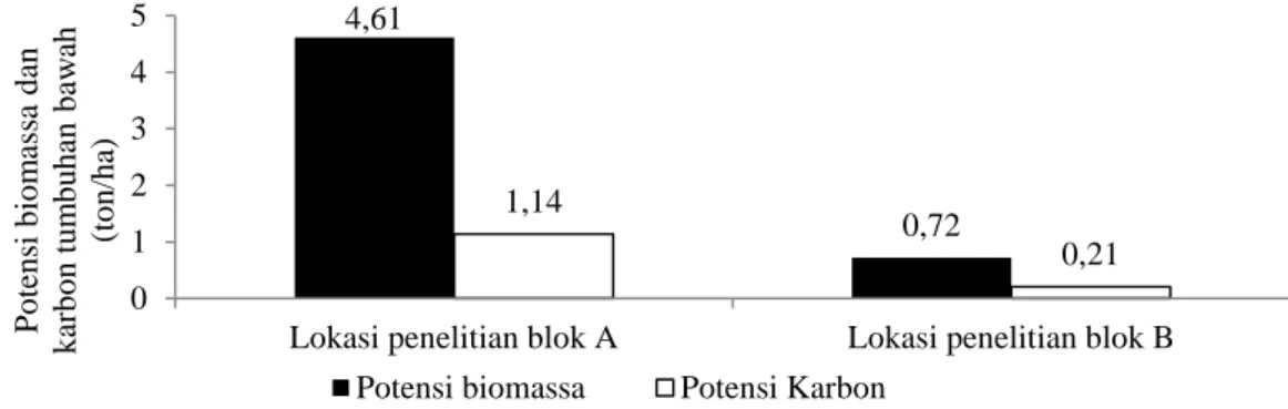Gambar 2  Potensi biomassa dan karbon tumbuhan bawah  Potensi Biomassa dan Karbon Serasah 