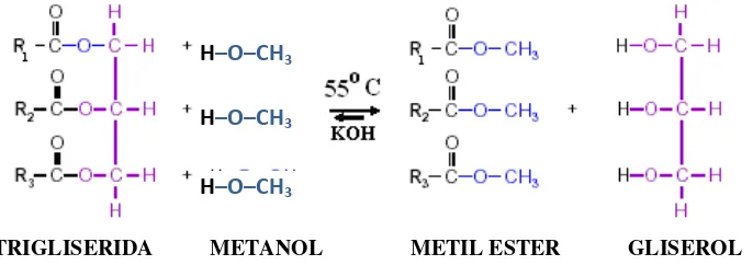 Gambar 2.1 Reaksi transesterifikasi 