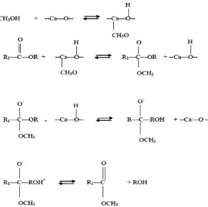 Gambar 2.3 Mekanisme reaksi transesterifikasi basa heterogen dengan katalis [29] 