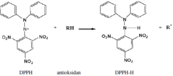 Gambar 1.Reaksi Antara Antioksidan dan 