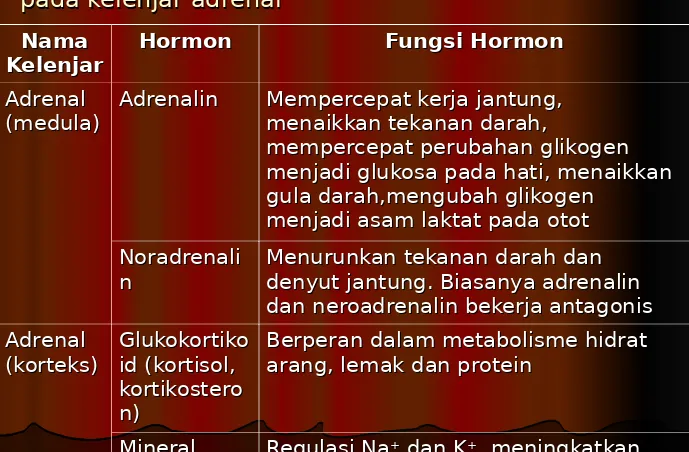 Tabel Nama Kelenjar, Hormon, dan Fungsi hormon pada kelenjar adrenalpada kelenjar adrenal