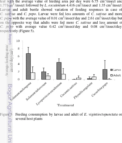 Figure 5 Feeding consumption by larvae and adult of E. vigintioctopunctata on 