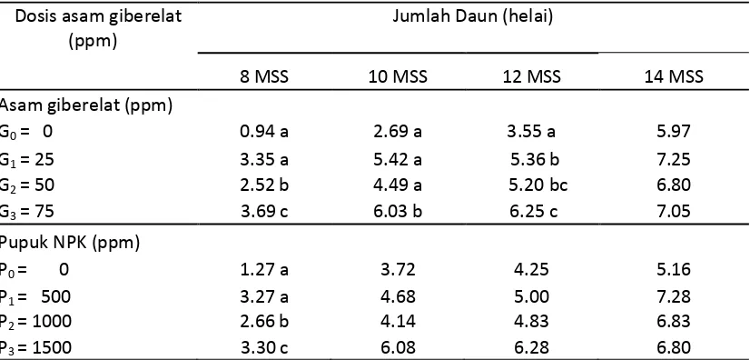 Tabel 4. Jumlah daun pada penyambungan tanaman mangga  umur 8-14 MSS dengan pemberian berbagai dosis asam giberelat (GA3) dan pupuk NPK (15-15-15) 