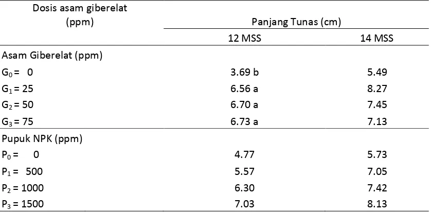 Tabel 5. Panjang tunas pada penyambungan tanaman mangga umur 12 dan 14 MSS dengan pemberian berbagai dosis asam giberelat (GA3) dan pupuk NPK      (15-15-15) 