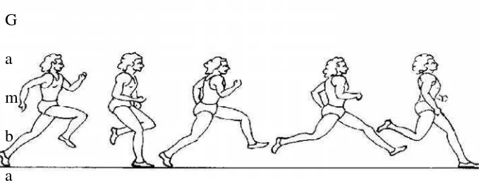 Gambar 3 : Teknik Tolakan Lompat Jauh