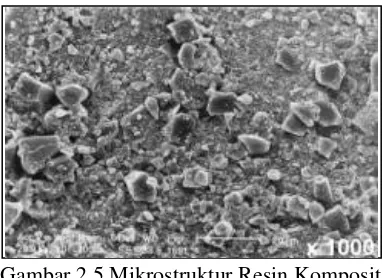 Gambar 2.4. Mikrostruktur Resin Komposit 