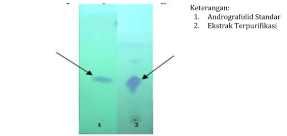 Gambar 3. Profil KLT ekstrak terpurifikasi, elusi dilakukan dengan kloroform:metanol (9:1), dengan fase  diam: silika gel 60F 254.,  Jarak elusi sampel 8cm.Pengamatan pada UV 254