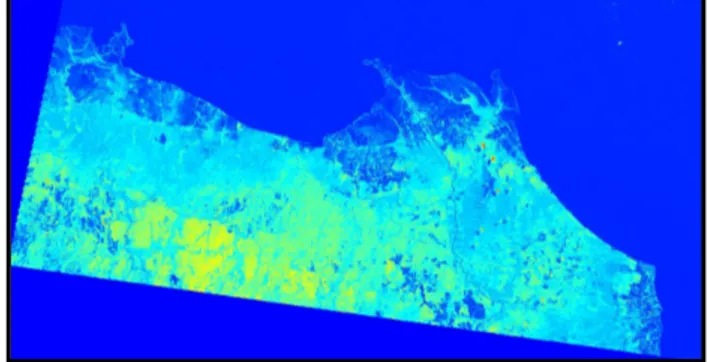 Gambar 5. Citra Landsat Metode AGSO
