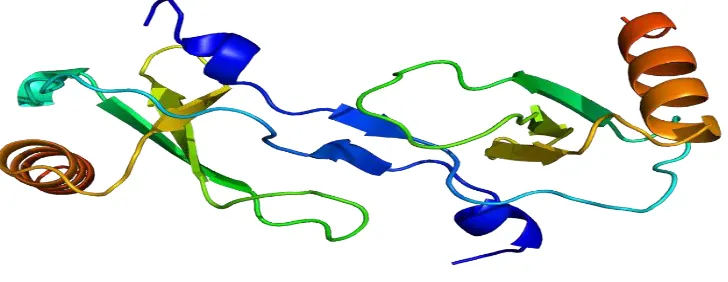 Gambar 7. Sruktur Molekul CCL2 / MCP -1 .37 