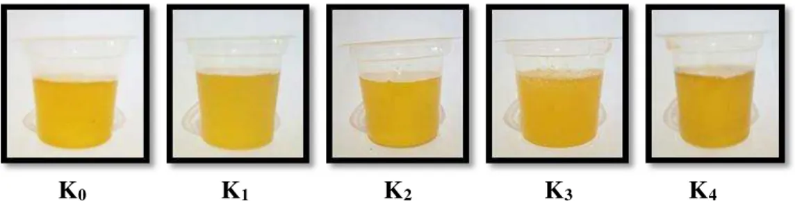 Gambar 1. Warna sirup bonggol nanas setiap perlakuan  Aroma 