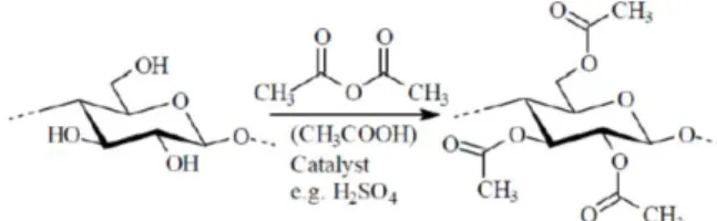 Gambar 1 Reaksi asetilasi selulosa  Pada  penelitian  ini  dilakukan  sintesis  selulosa  asetat  melalui  reaksi  esterifikasi  (asetilasi)        