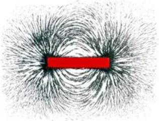 Gambar 2.4 Formasi serbuk besi yang dipengaruhi medan magnet 