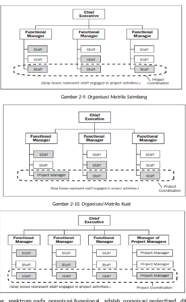 Gambar 2-10. Organisasi Matriks Kuat