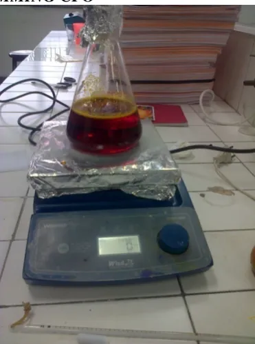 Gambar L4.1 Proses  Degumming CPO 