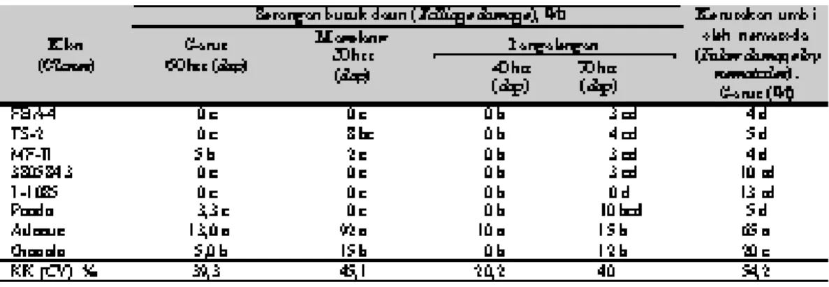 Tabel 1. Serangan penyakit busuk daun di Garut (2000), Magelang (2003), dan Pangalengan (2003)  serta  kerusakan umbi oleh nematoda di Garut  (2003) (Foliage damage by late blight at Garut, Magelang, 