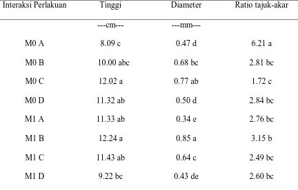 Tabel 2. Hasil uji DMRT interaksi aplikasi mikoriza dengan komposisi media tanam   pada pembibitan semai Eukaliptus terahadap parameter tinggi, diameter dan ratio tajuk-akar pada 12 MST Interaksi Perlakuan Tinggi  Diameter  Ratio tajuk-akar 