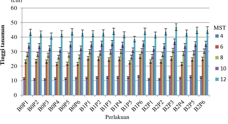 Gambar 1. Pengaruh pupuk organik hayati pelarut fosfat terhadap diameter bonggol bibit kelapa sawit pada 4 - 12 MST 