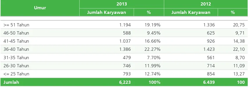 Tabel Jumlah Karyawan Semen Indonesia Berdasarkan Umur, Tahun 2012-2013