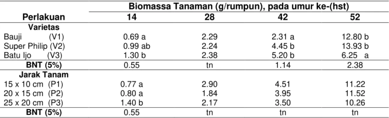 Tabel  6  Rata  –  Rata  Biomassa  Total  Tanaman  Bawang  Merah  pada  Berbagai    Perlakuan  Varietas dan Jarak Tanam 