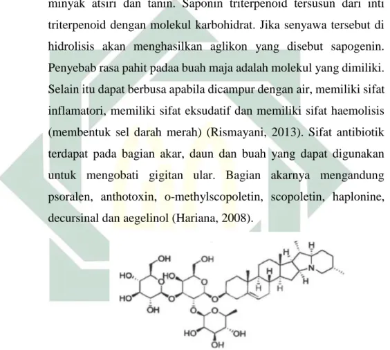 Gambar 2.7. Struktur molekul senyawa saponin  Sumber : Rismayani, 2013 