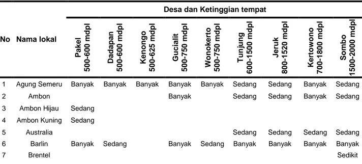 Tabel 1 Keberadaan Tanaman Pisang di Kecamatan Gucialit Kabupaten Lumajang 
