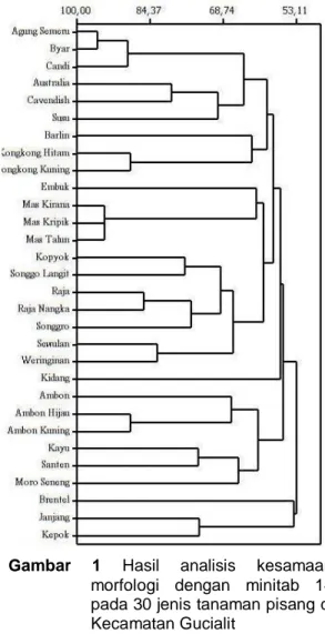 Gambar  1  Hasil  analisis  kesamaan 