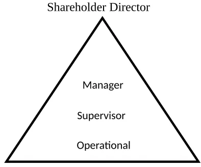 Gambar 2.1.       Shareholder Director