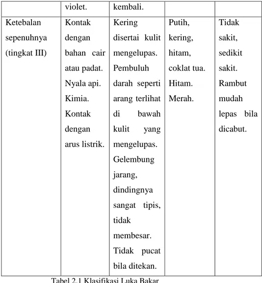 Tabel 2.1 Klasifikasi Luka Bakar  2.  Luas luka bakar, Menurut Musliha (2010) 