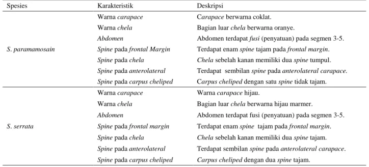 Tabel 2 Ukuran Rata-rata Karakteristik Morfometri Scylla spp. di Muara Sungai Mutusan 