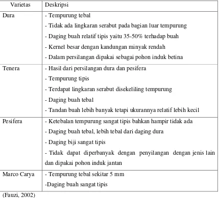 Tabel 2.1 Varietas Kelapa Sawit Berdasarkan Ketebalan Tempurung dan Daging 