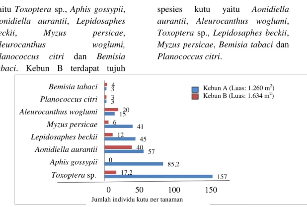 Gambar 1.  Spesies dan jumlah individu kutu pada tanaman jeruk Siam  Jumlah  spesies  dan  individu 