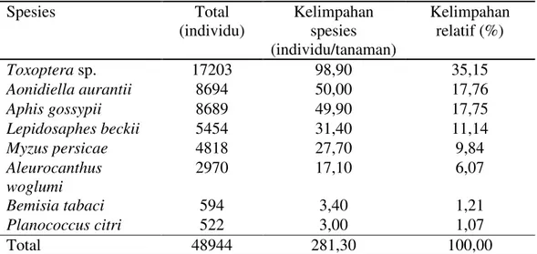 Tabel 1. Kelimpahan total kutu pada tanaman jeruk Siam 