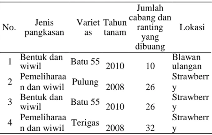 Tabel 1. Jumlah cabang dan ranting yang dibuang  dalam pemangkasan  No.  Jenis  pangkasan  Varietas  Tahun tanam  Jumlah  cabang dan ranting  yang  dibuang  Lokasi 