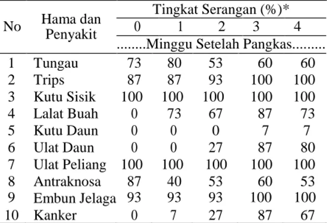 Tabel  4.  Perkembangan  tingkat  severitas  hama  dan penyakit pada TBM 