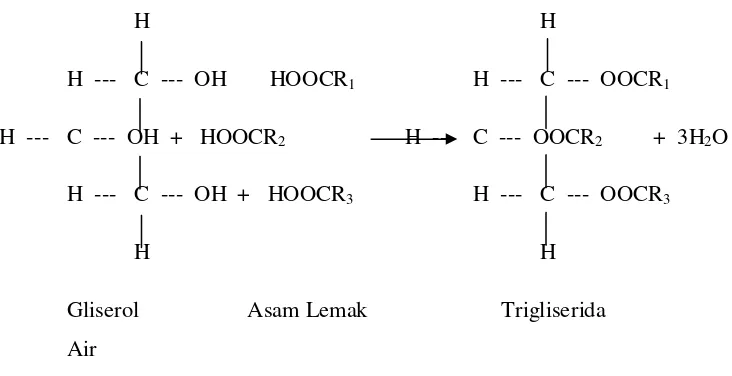 Gambar 2.1 Reaksi molekul pembentukan minyak adalah sebagai berikut : 