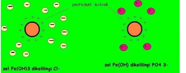Gambar di atas memperlihatkan bahwa ion fosfat yang  bermuatan 3- 3-tertarik lebih dekat daripada ion klorida yang  bermuatan 1-, 