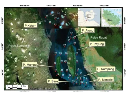 Gambar 1. Peta lokasi penelitian di perairan pantai Selat Rupat. 