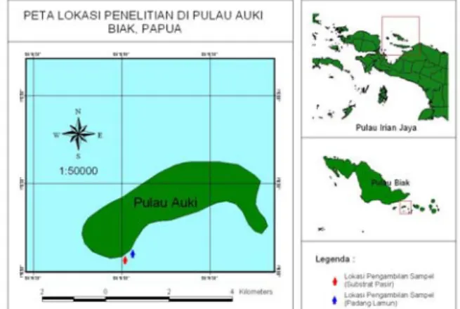 Gambar 1. Lokasi pengambilan sampel kerang darah (Anadara antiquata) di perairan Pulau Auki, Kepulauan Padaido, Biak, Papua
