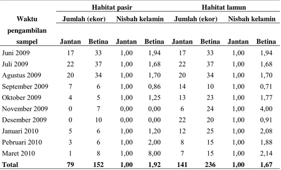 Tabel 1. Nisbah kelamin kerang darah (Anadara antiquata) jantan dan betina pada setiap waktu pengambilan sampel pada habitat pasir dan lamun di perairan Pulau Auki.