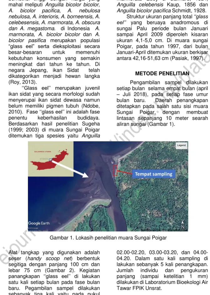 Gambar 1. Lokasih penelitian muara Sungai Poigar  Alat  tangkap  yang  digunakan  adalah 