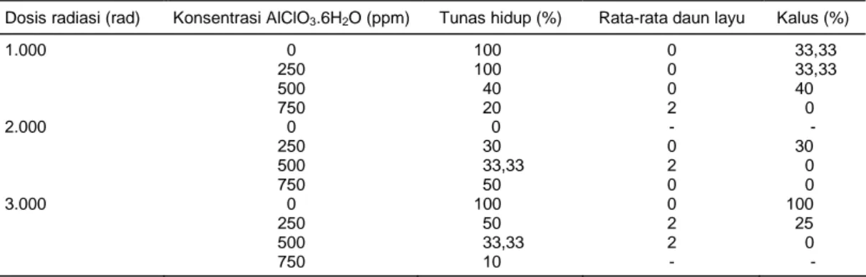Tabel 6.  Respon tunas mutan yang hidup pada media seleksi in vitro tahap 1 untuk toleransi terhadap alumunium 