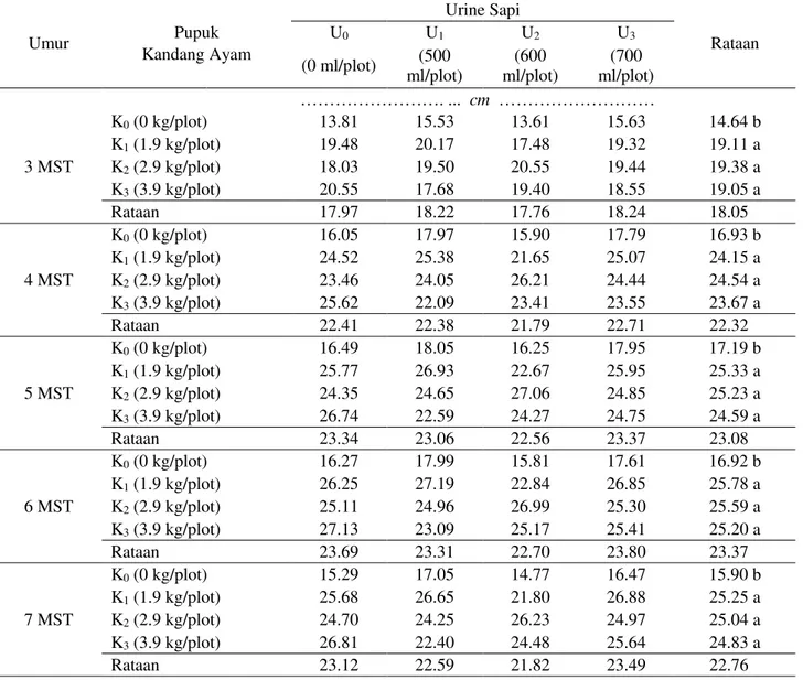 Tabel 1.  Rataan panjang tanaman bawang merah umur 3 - 7 MST pada perlakuan pemberian pupuk  kandang ayam dan urine sapi 