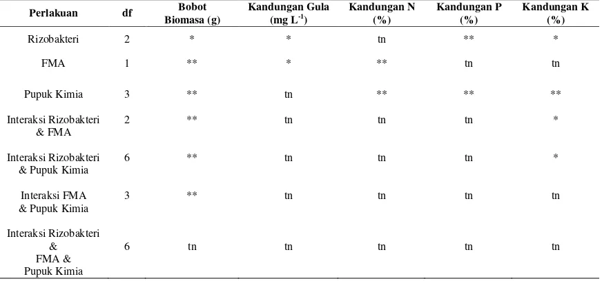 Tabel 1. Rekapitulasi hasil sidik ragam peubah yang diamati terhadap inokulasi rizobakteri (A), FMA (B) dan pupuk kimia (C)  pada tanaman sorgum manis 