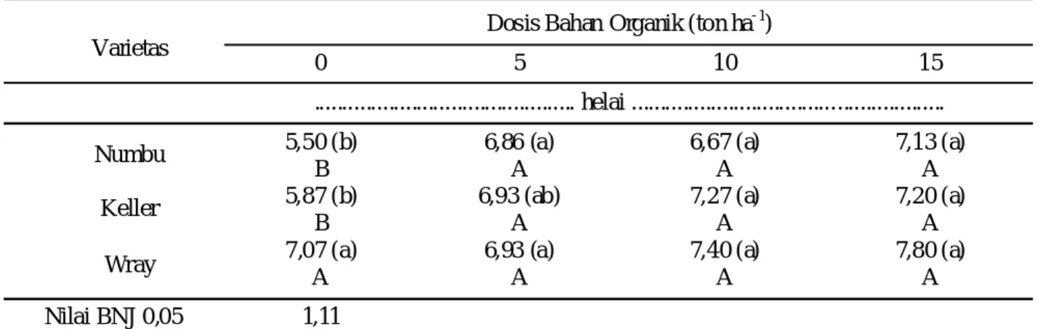 Tabel 7. Pengaruh interaksi antara bahan organik dan varietas sorgum terhadap jumlah daun tanaman sorgum