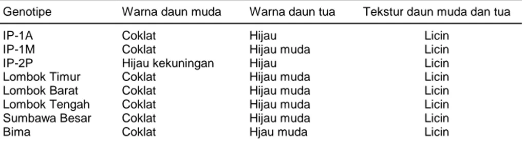 Tabel 1.  Karakter daun beberapa genotipe jarak pagar. 