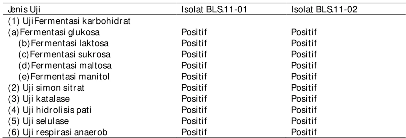 Tabel 3. Kar akter ist ik biokimia isolat BLS.11-01 &amp; isolat  BLS.11-02