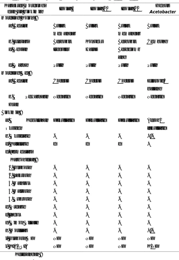 Tabel 1.3 Uji Biokimia Isolat Bakteri Endofit nomor 3, 21 dan 22 Karakter morfologi