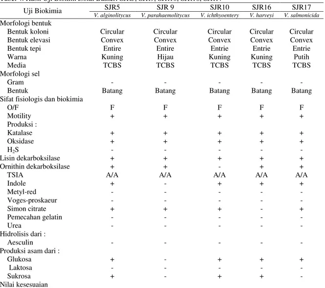 Tabel 4. Hasil Uji Biokim Isolat Bakteri SJR5, SJR9, SJR10, SJR16, SJR17 